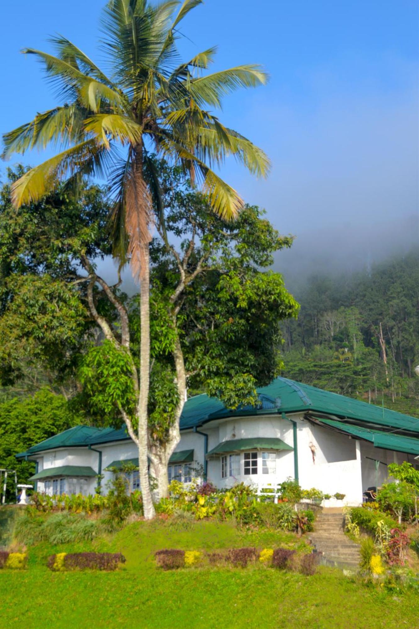 Hatale Tea Estate Bungalow Madulkele Exterior photo